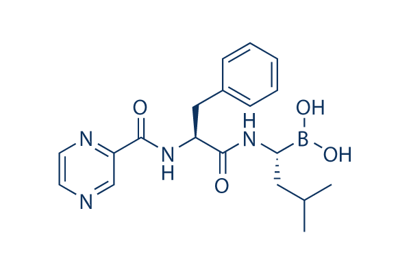 Bortezomib (PS-341), 25 MG, Selleck