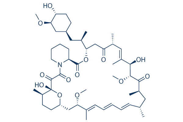 Rapamycin (Sirolimus), 5 MG, Selleck