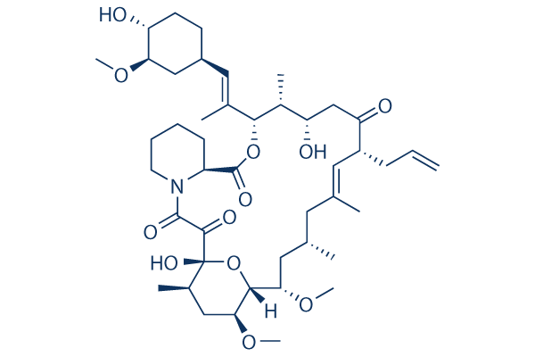 Tacrolimus (FK506), 50 mg, Selleck